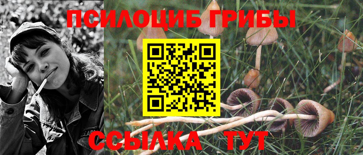 Псилоцибиновые грибы Psilocybine cubensis  купить наркотики цена  Югорск  Вход с VPN 